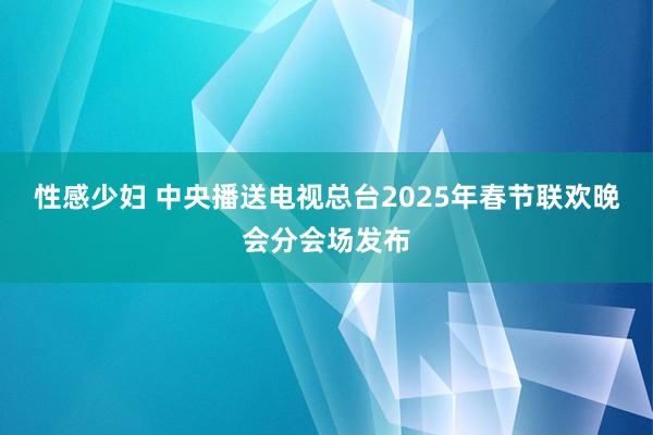 性感少妇 中央播送电视总台2025年春节联欢晚会分会场发布