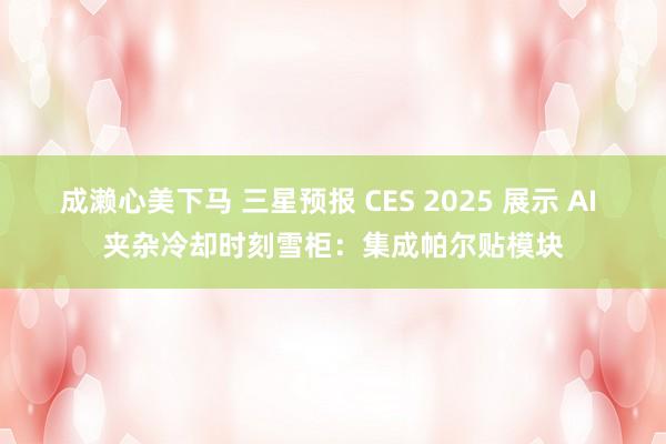 成濑心美下马 三星预报 CES 2025 展示 AI 夹杂冷却时刻雪柜：集成帕尔