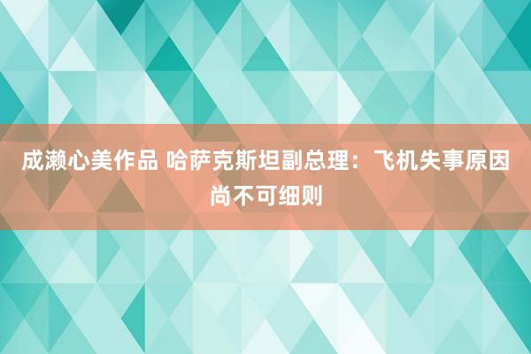 成濑心美作品 哈萨克斯坦副总理：飞机失事原因尚不可细则