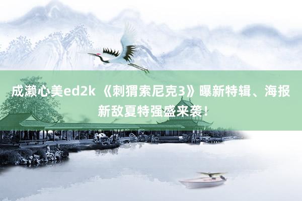 成濑心美ed2k 《刺猬索尼克3》曝新特辑、海报 新敌夏特强盛来袭！