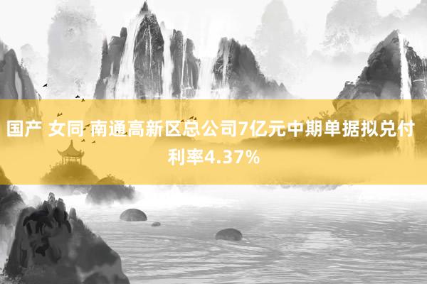 国产 女同 南通高新区总公司7亿元中期单据拟兑付 利率4.37%