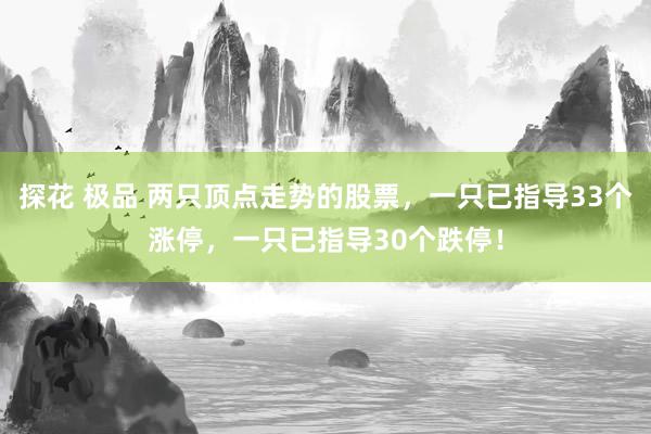 探花 极品 两只顶点走势的股票，一只已指导33个涨停，一只已指导30个跌停！