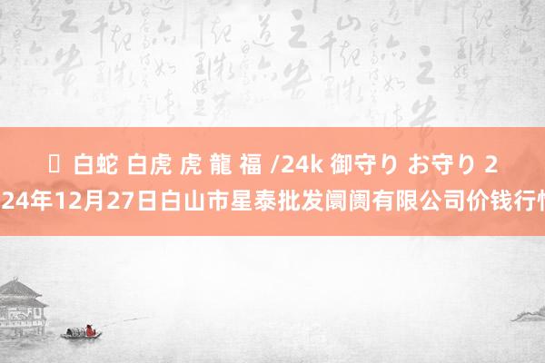 ✨白蛇 白虎 虎 龍 福 /24k 御守り お守り 2024年12月27日白山市