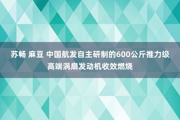 苏畅 麻豆 中国航发自主研制的600公斤推力级高端涡扇发动机收效燃烧