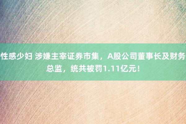 性感少妇 涉嫌主宰证券市集，A股公司董事长及财务总监，统共被罚1.11亿元！