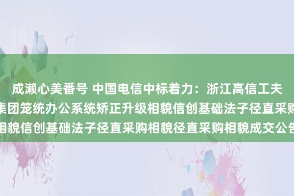 成濑心美番号 中国电信中标着力：浙江高信工夫股份有限公司云商议院集团笼统办公系统