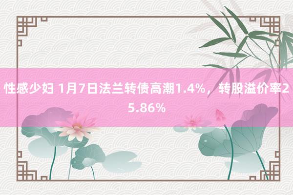 性感少妇 1月7日法兰转债高潮1.4%，转股溢价率25.86%