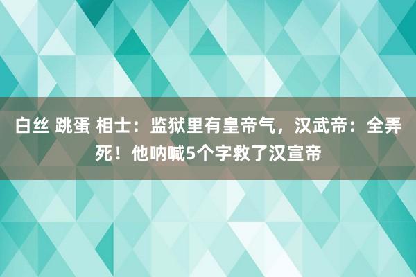 白丝 跳蛋 相士：监狱里有皇帝气，汉武帝：全弄死！他呐喊5个字救了汉宣帝