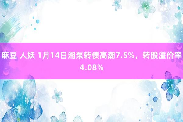 麻豆 人妖 1月14日湘泵转债高潮7.5%，转股溢价率4.08%