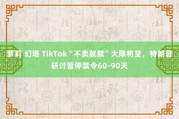 萝莉 幻塔 TikTok“不卖就禁”大限将至，特朗普研讨暂停禁令60-90天