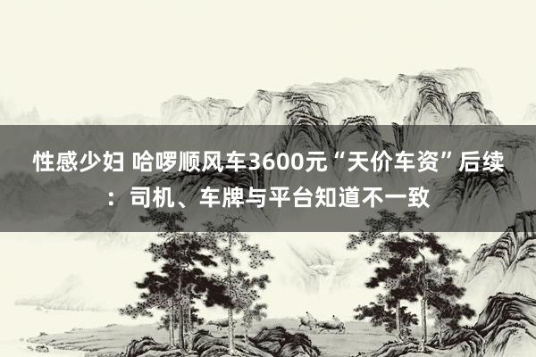 性感少妇 哈啰顺风车3600元“天价车资”后续：司机、车牌与平台知道不一致